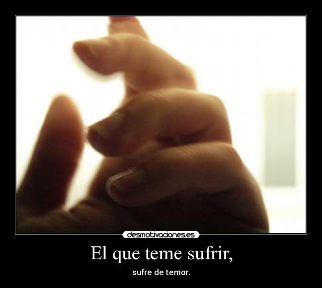 carteles miauuuuu desmotivaciones