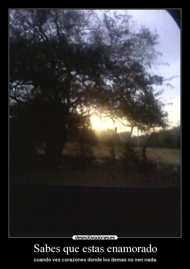 Sabes que estas enamorado -
