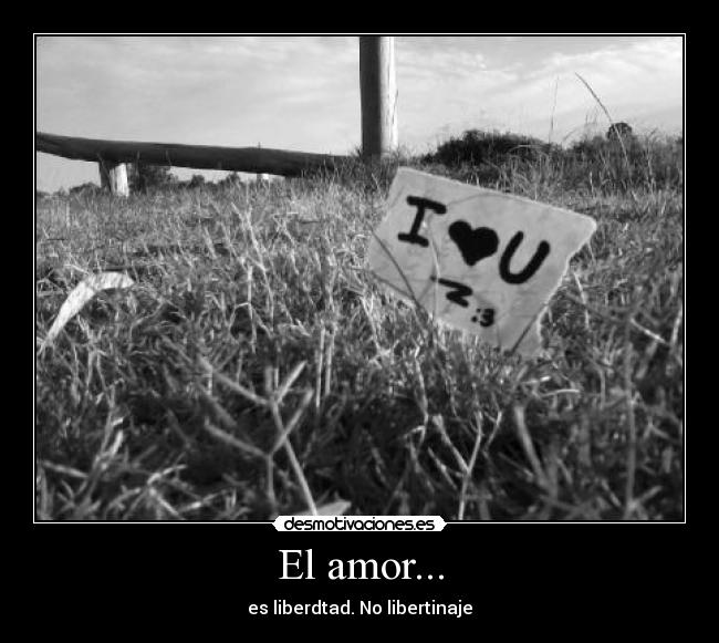 carteles amor amor libre love free amo love you desmotivaciones