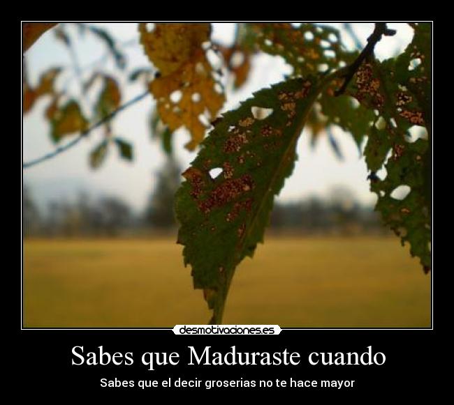 Sabes que Maduraste cuando -