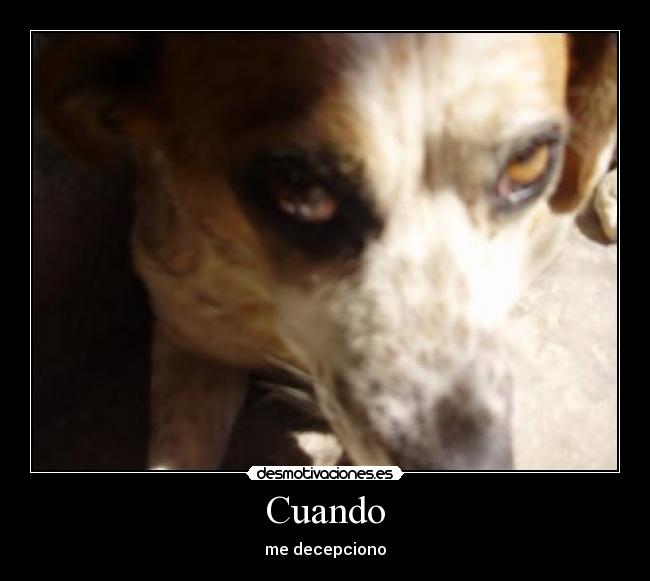 carteles cuando decepciono desmotivaciones