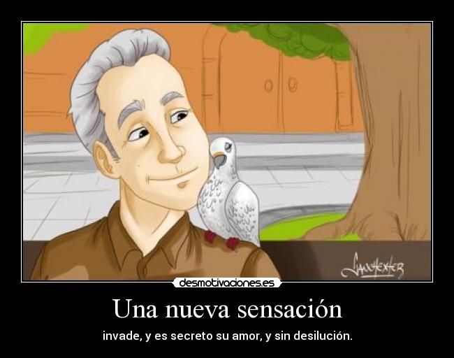 Una nueva sensación - 