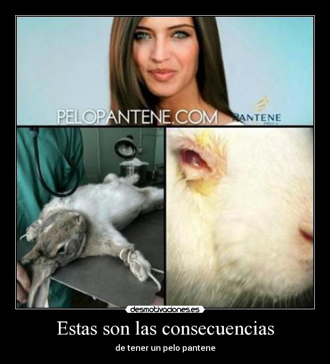 Estas son las consecuencias - de tener un pelo pantene