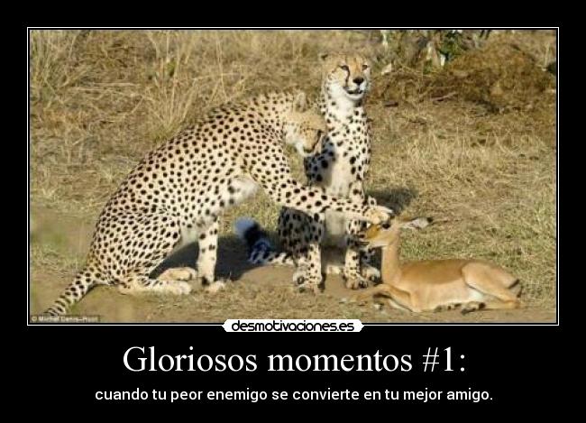 Gloriosos momentos #1: - cuando tu peor enemigo se convierte en tu mejor amigo.