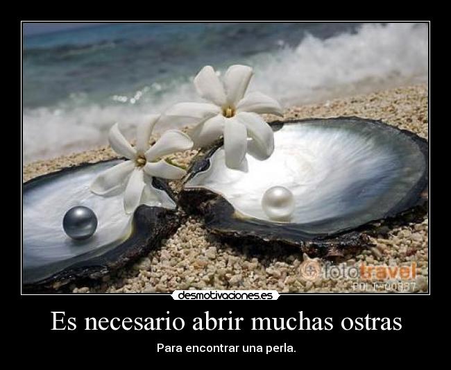 carteles necesario abrir muchas ostras para encontrar una perla desmotivaciones