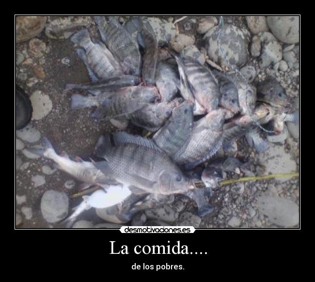 La comida.... -