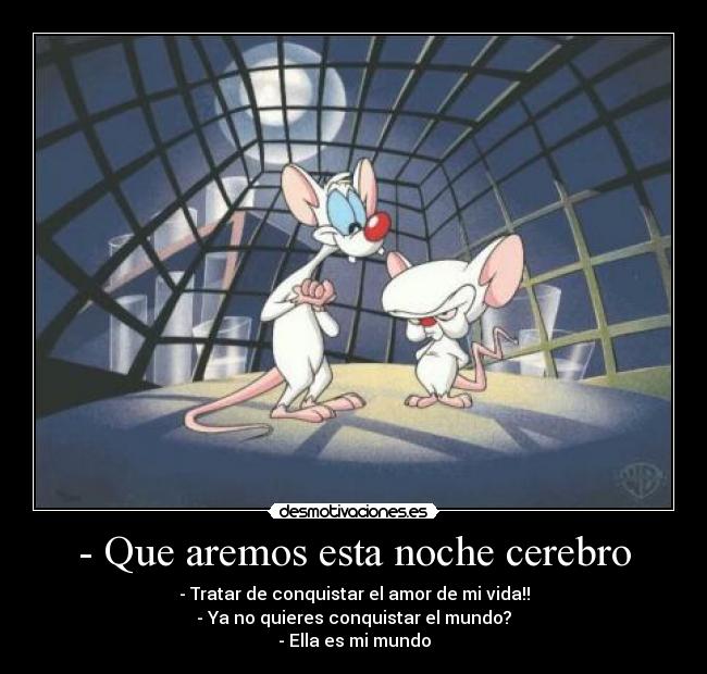 - Que aremos esta noche cerebro - - Tratar de conquistar el amor de mi vida!!
- Ya no quieres conquistar el mundo?
- Ella es mi mundo