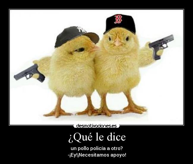 ¿Qué le dice - un pollo policía a otro?
-¡Ey!¡Necesitamos apoyo!
