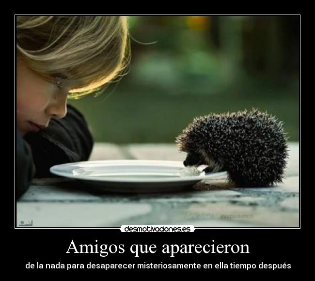 Amigos que aparecieron - de la nada para desaparecer misteriosamente en ella tiempo después