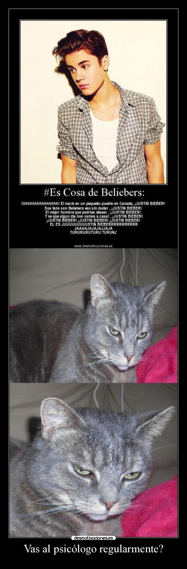 Vas al psicólogo regularmente? - 