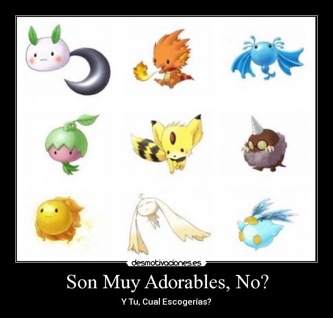 Son Muy Adorables, No? - Y Tu, Cual Escogerías?