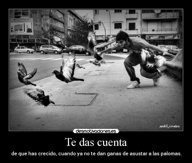 Te das cuenta - de que has crecido, cuando ya no te dan ganas de asustar a las palomas.