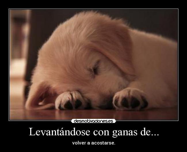 Levantándose con ganas de... - 