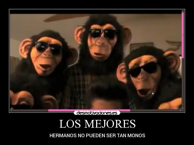 carteles para los mejores ermanos desmotivaciones