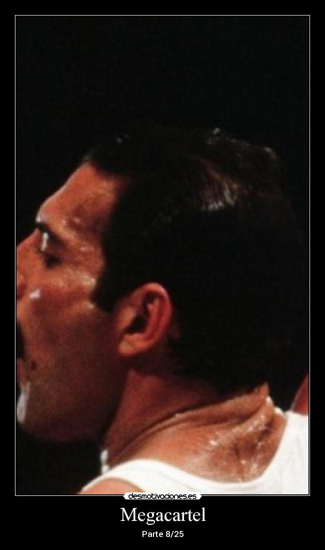 Megacartel -