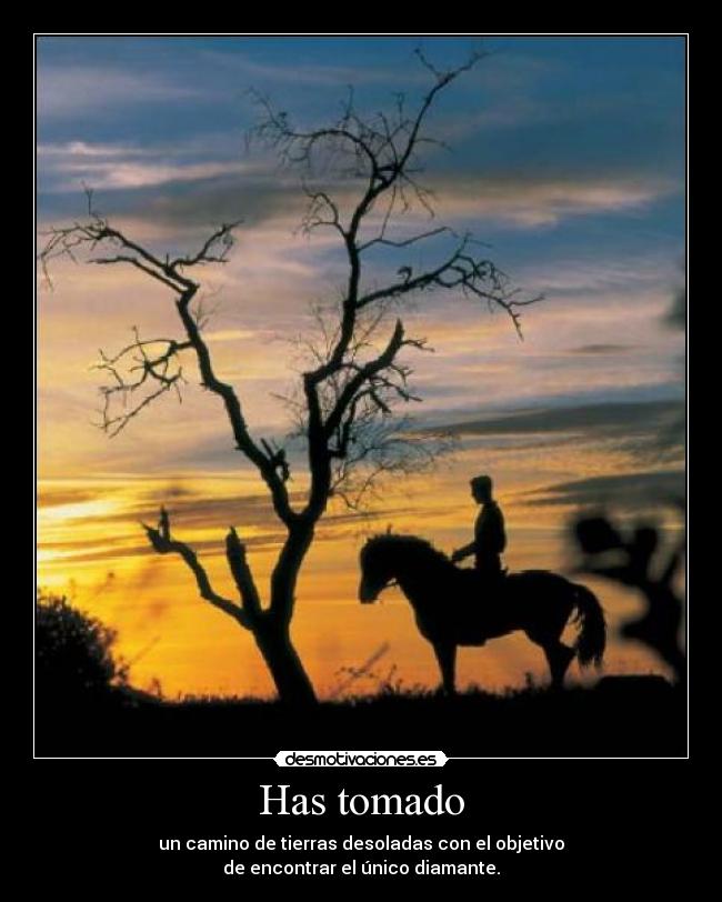 Has tomado - un camino de tierras desoladas con el objetivo
de encontrar el único diamante.