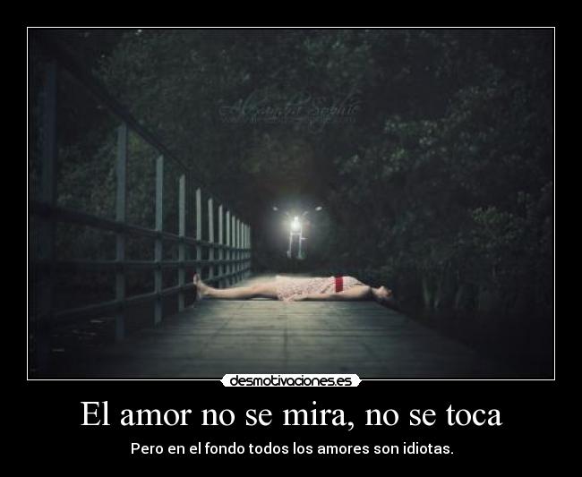 El amor no se mira, no se toca - Pero en el fondo todos los amores son idiotas.