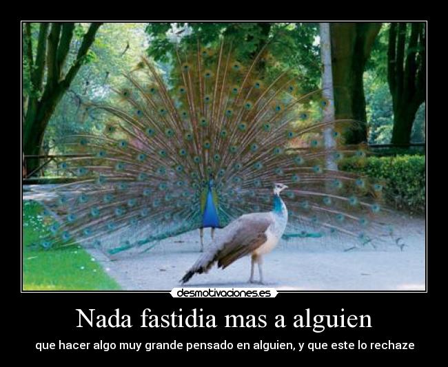 Nada fastidia mas a alguien - que hacer algo muy grande pensado en alguien, y que este lo rechaze