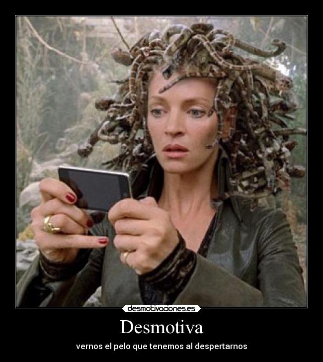 Desmotiva - vernos el pelo que tenemos al despertarnos