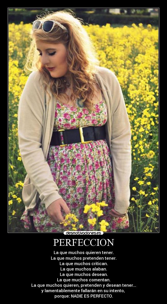 PERFECCION -
