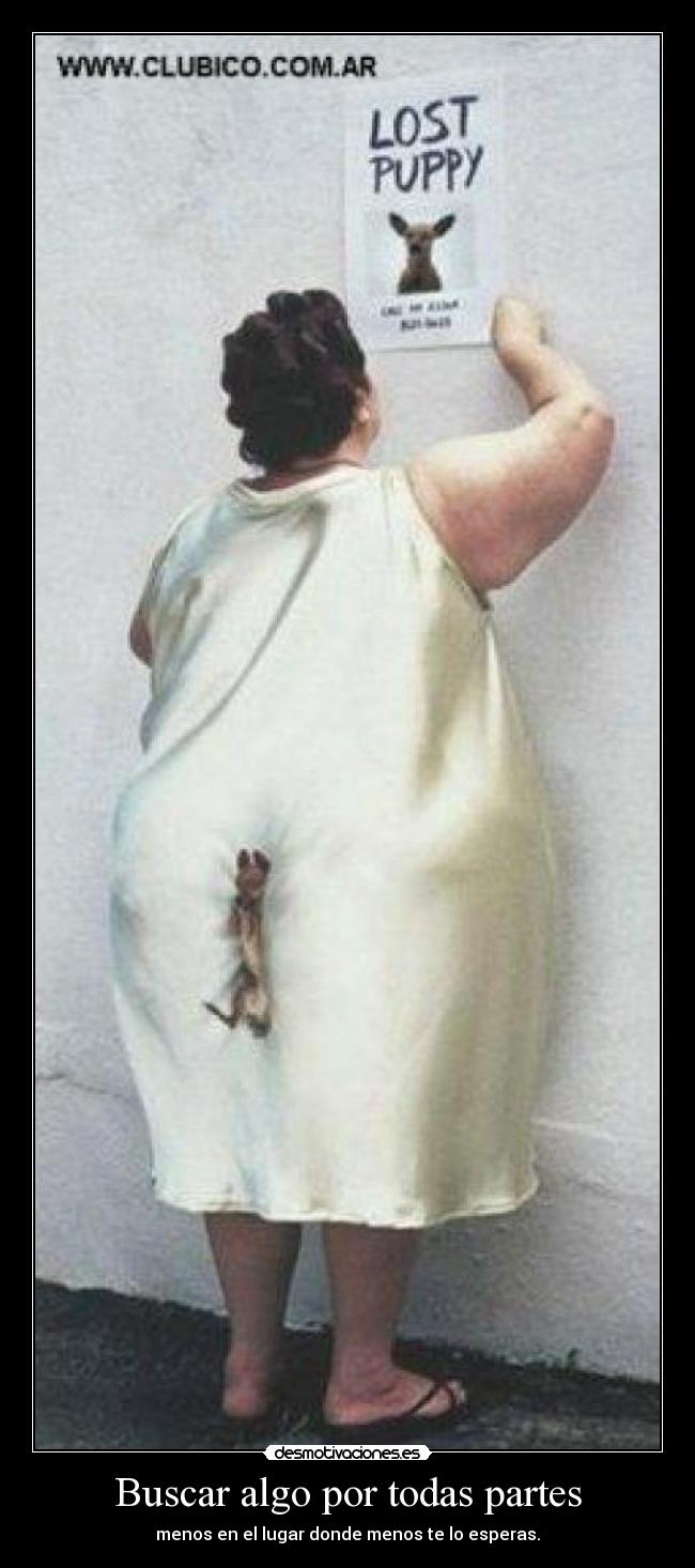 Buscar algo por todas partes - menos en el lugar donde menos te lo esperas.