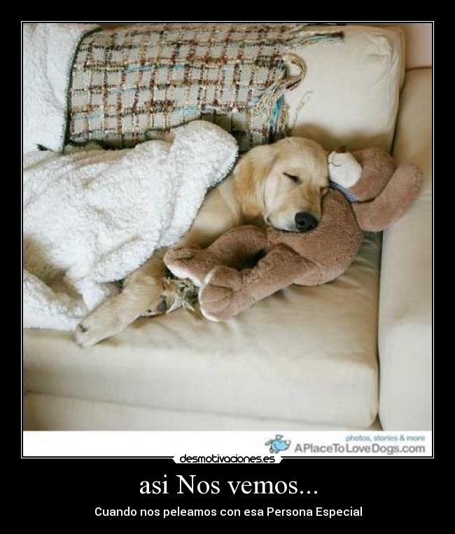 carteles vemos verse personaespecial perro dolor triste tristeza pelearse peleamos pelea desmotivaciones