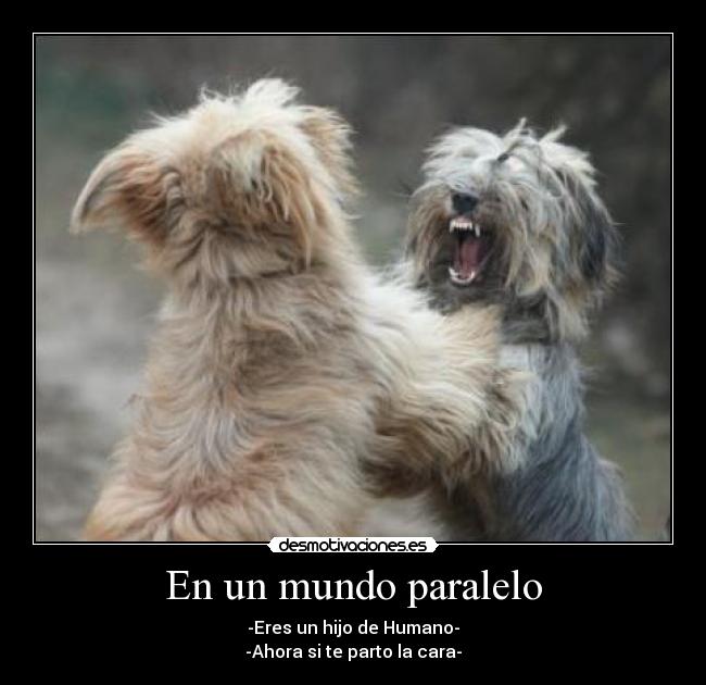 En un mundo paralelo - -Eres un hijo de Humano-
-Ahora si te parto la cara-