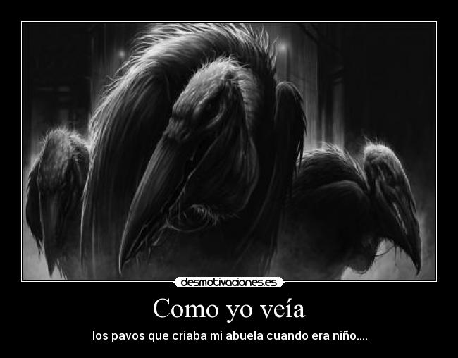 Como yo veía - los pavos que criaba mi abuela cuando era niño....