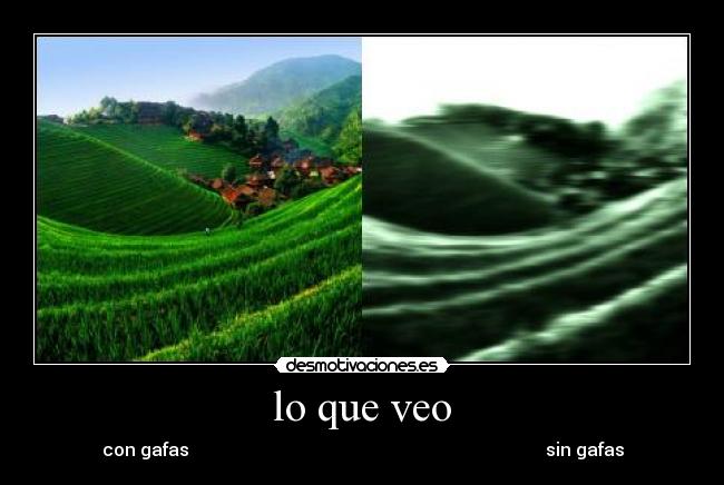 carteles alejandrabgomez desmotivaciones