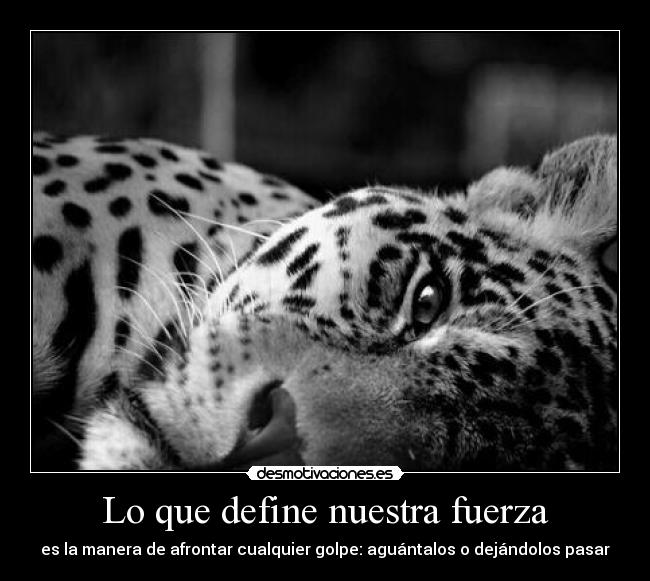 Lo que define nuestra fuerza - 