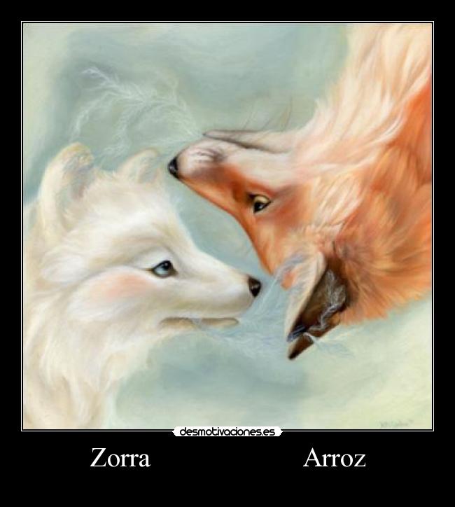 Zorra                      Arroz - 