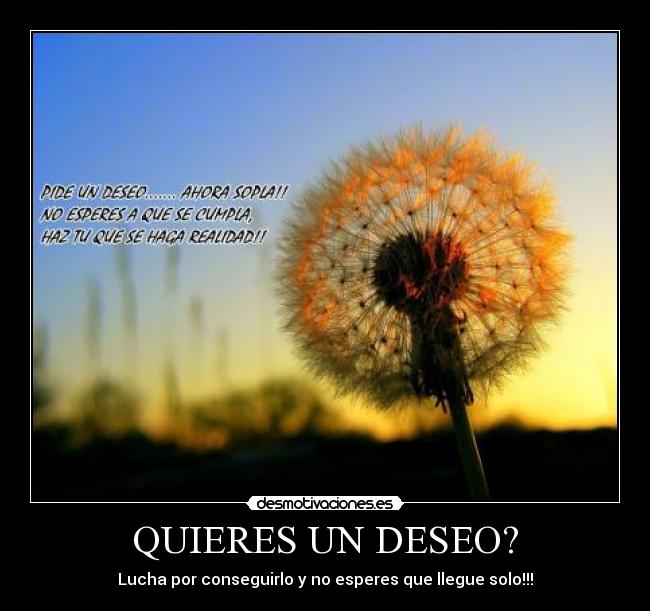 QUIERES UN DESEO? - Lucha por conseguirlo y no esperes que llegue solo!!!