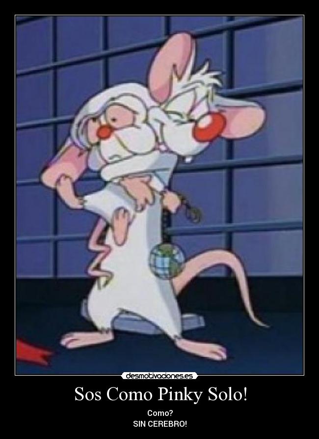 Sos Como Pinky Solo! - 
