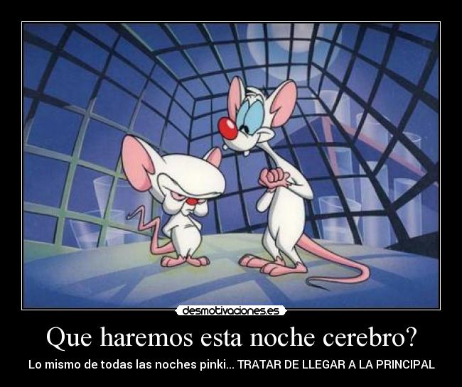 Que haremos esta noche cerebro? - Lo mismo de todas las noches pinki... TRATAR DE LLEGAR A LA PRINCIPAL