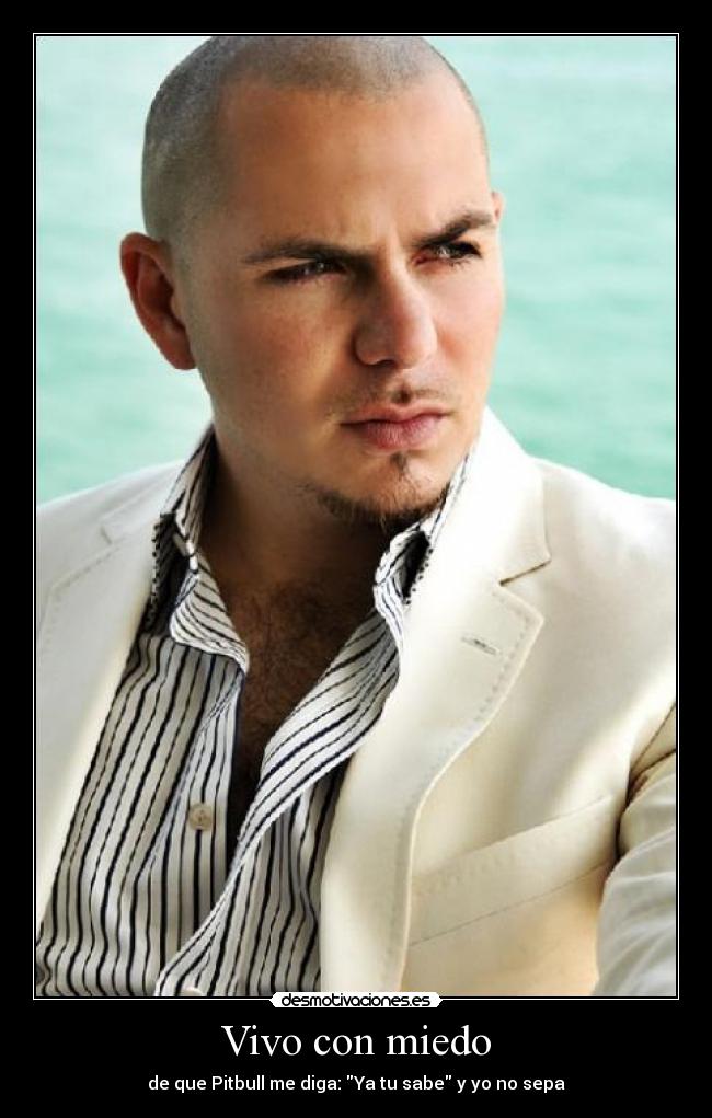 Vivo con miedo - de que Pitbull me diga: Ya tu sabe y yo no sepa