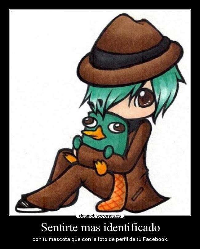 Sentirte mas identificado -