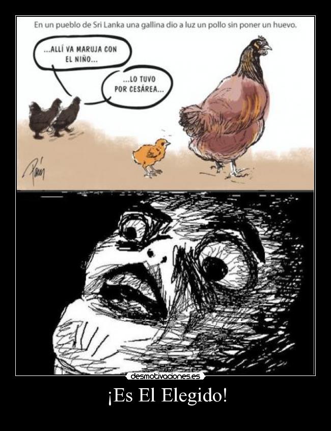 ¡Es El Elegido! -