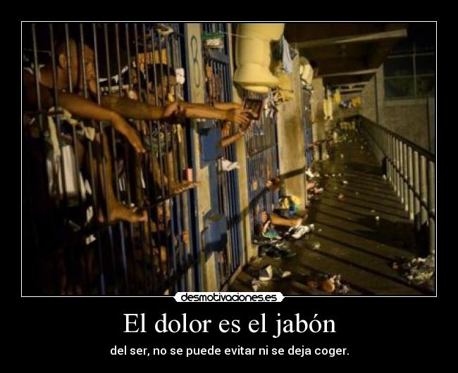 carteles dolor thats how live desmotivaciones