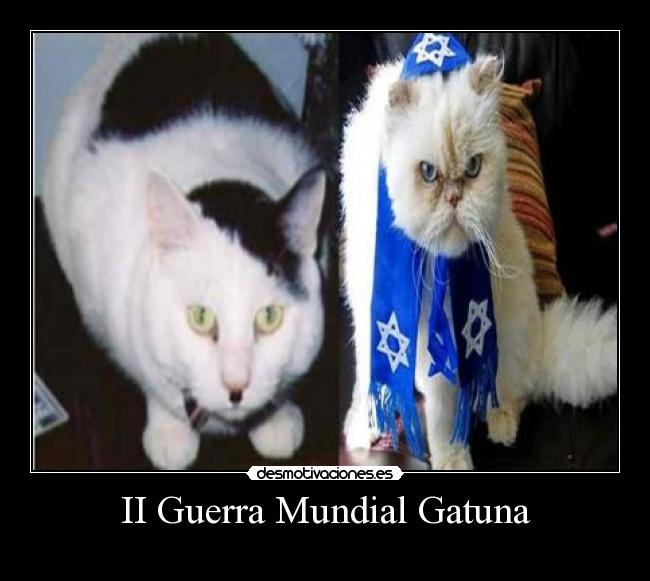 II Guerra Mundial Gatuna - 
