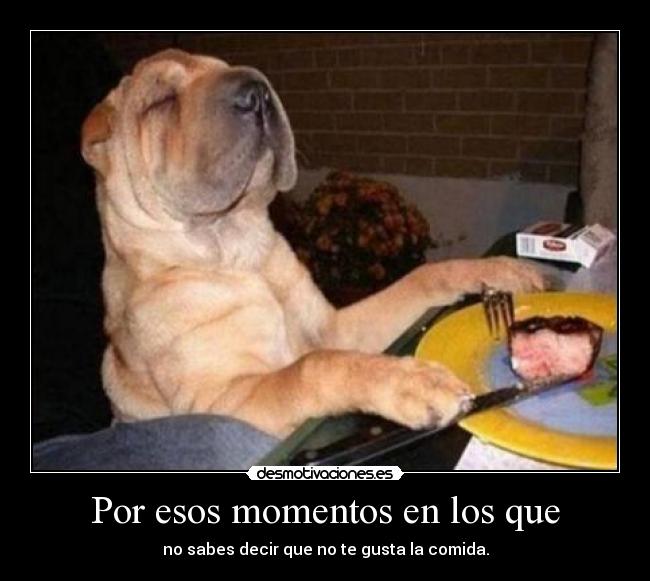 carteles gusta comida desmotivaciones