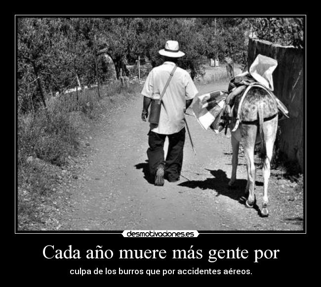 carteles datoseverywhere desmotivaciones