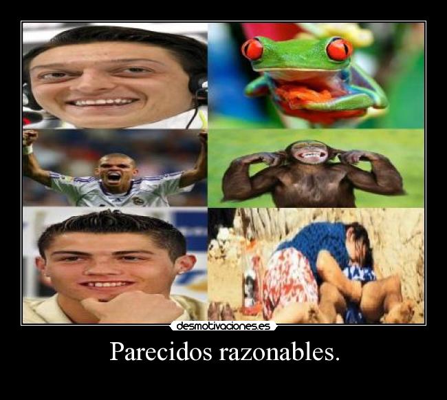 Parecidos razonables. - 