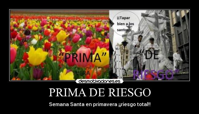 carteles nieves alvarez desmotivaciones