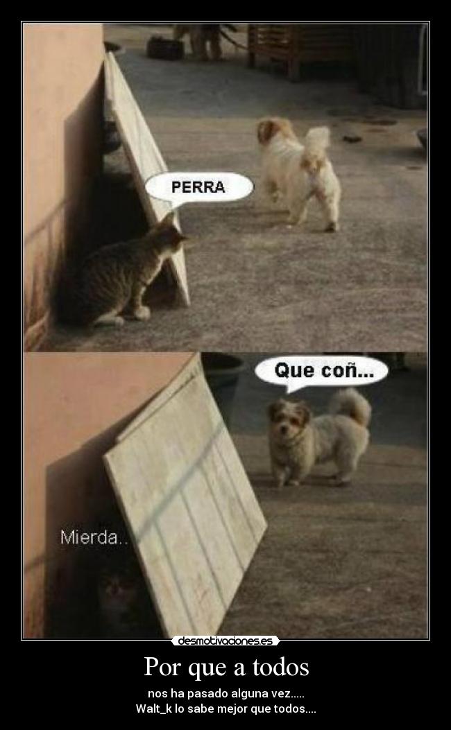 Por que a todos - nos ha pasado alguna vez.....
Walt_k lo sabe mejor que todos....