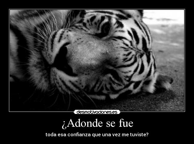 ¿Adonde se fue - toda esa confianza que una vez me tuviste?