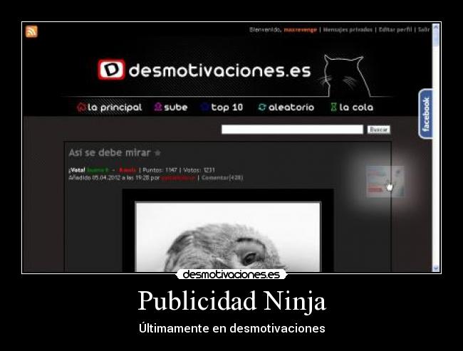 Publicidad Ninja -