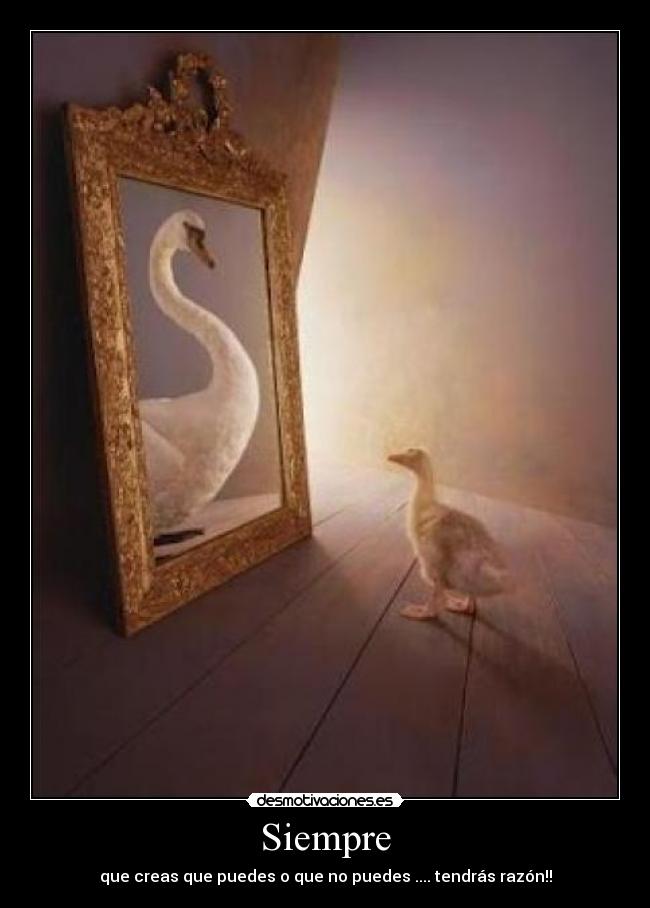Siempre - 