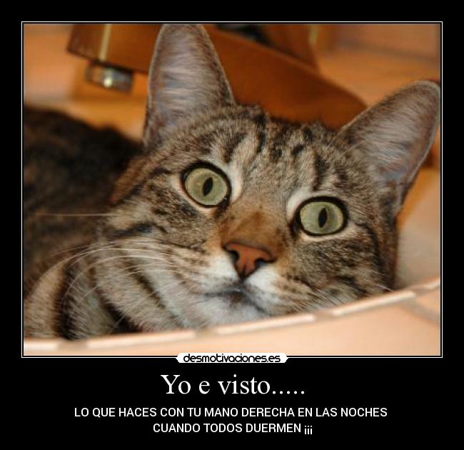 Yo e visto..... - LO QUE HACES CON TU MANO DERECHA EN LAS NOCHES
CUANDO TODOS DUERMEN ¡¡¡