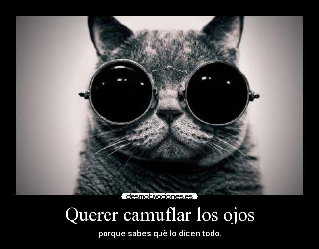 Querer camuflar los ojos - porque sabes què lo dicen todo.