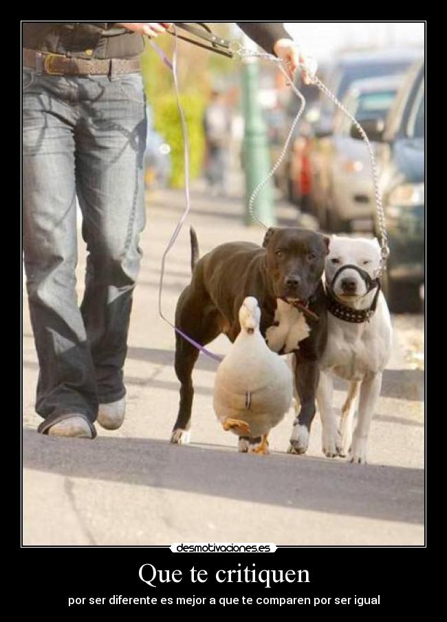 Que te critiquen - por ser diferente es mejor a que te comparen por ser igual